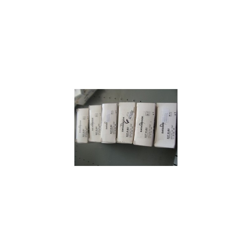 DATASENSOR S3T-R-B2