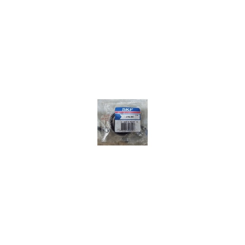 SKF 61906-2RS1