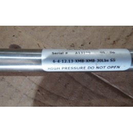 INDUSTRIAL GAS SPRING 6-4-12.13-XMB-XMB-30LBS