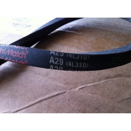 JASON BELT A29