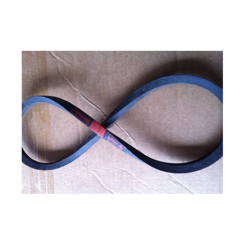 JASON BELT A29 4L310