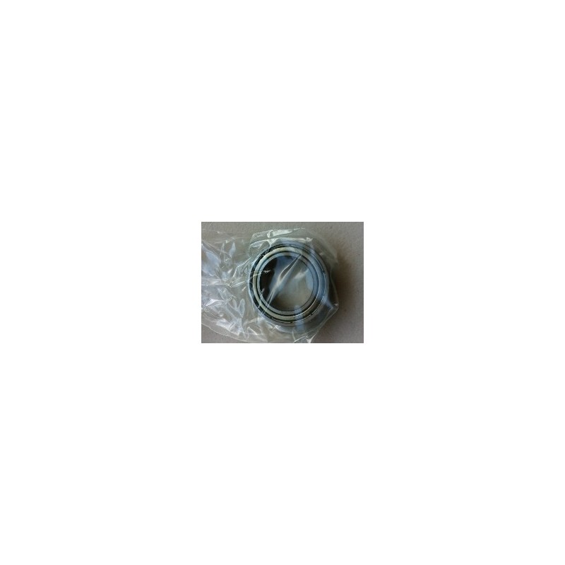 BEARING LIMITED 61804ZZ