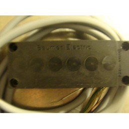 BAUMER ELECTRIC SENSOR