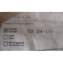 CYLINDER CS 24-125