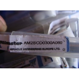 RLISMESTER AM2SCD0300A060