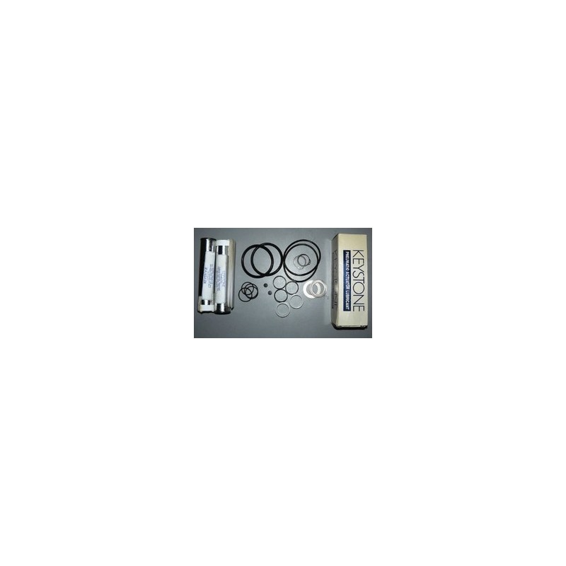KEY INTERN PUMP SEAL KIT 290100566 KEY INTERN PUMP SEAL KIT 290100566