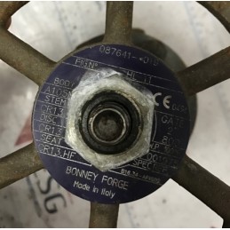 BONNEY FORGE 087611