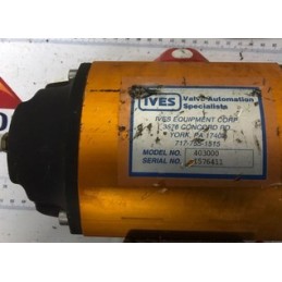 IVES 403000