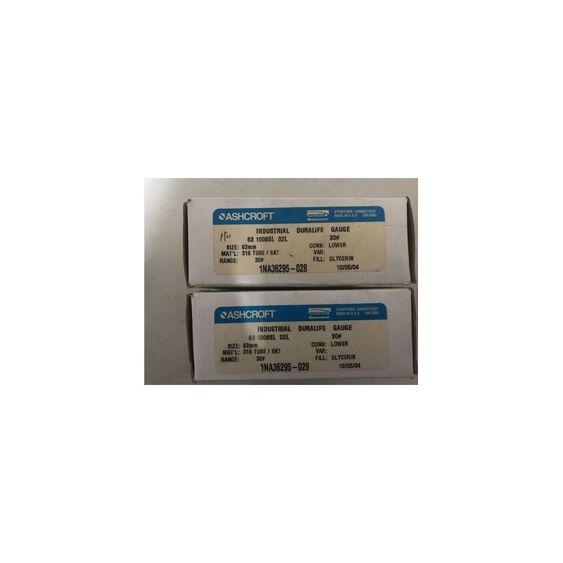 ASHCROFT 1NA6295-028