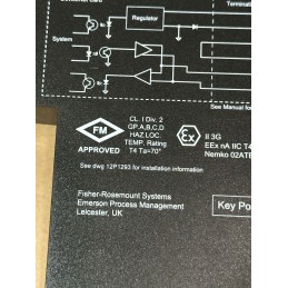 Emerson 12P1293 DeltaV