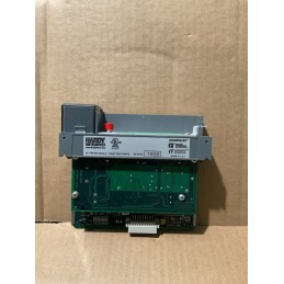 HARDY INSTRUMENTS WEIGH SCALE MODULE  HI 1746-WS SERIE C