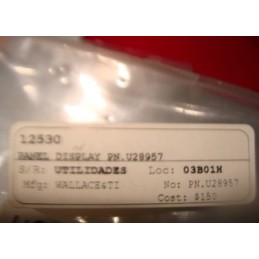 WALLACE & TI PANEL DISPLAY U28957